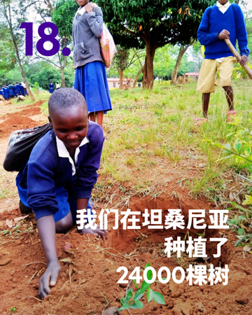 在坦桑尼亚种植了24000棵树- Educatius海外高中留学专家